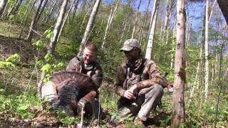 Spectacular Backcountry NC Gameland Wild turkey Hunt [upl. by Anav143]