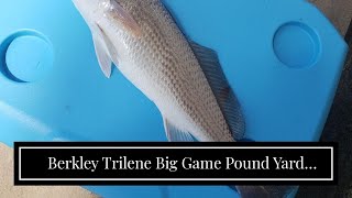 Berkley Trilene Big Game Pound Yard Fishing line [upl. by Hiro]