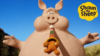 Shaun the Sheep 🐑 BIG PIG  Cartoons for Kids 🐑 Full Episodes Compilation 1 hour [upl. by Ylrebmit484]