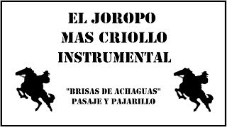 Joropo Instrumental  Brisas de Achagua [upl. by Enrak198]