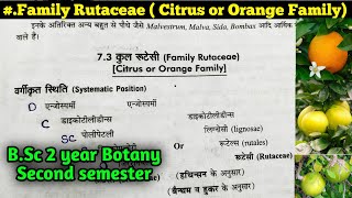 Family Rutaceae  Orange or Citrus Family  BSc 2nd year [upl. by Eitra720]