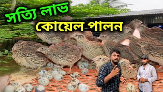 সত্যিই কি লাভকোয়েল পাখি পালন পদ্ধতি  কোয়েল পাখির বাচ্চার দাম ।। মায়া বাংলা BD ।। Krishi Nur STV । [upl. by Noy782]