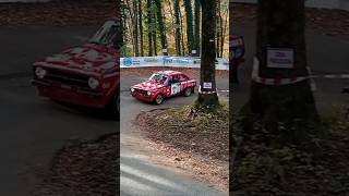 6° Lessinia Rally Historic 2024 SHOW amp CRASH  Prova Annullata [upl. by Aelgna136]