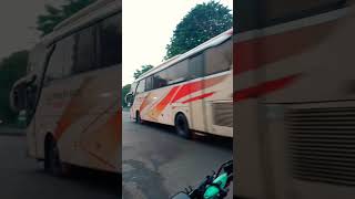 Wah Murni Jaya Pun Pasang Basuri DAV Asyiikk 😁 busmania murnijaya teloletbasuri shortvideo [upl. by Dnomde372]