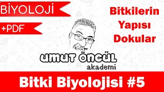 Biyoloji  AYT  Bitki Biyolojisi 5  PDF [upl. by Gadmann]