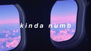 kinda numb  Tate McRae Lyrics [upl. by Onstad]