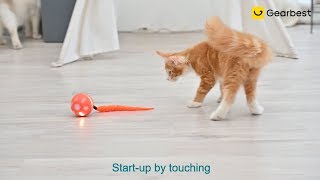 BENTOPAL P04 USB Charging Smart Ball Pet Toy with Colorful Lights  Gearbestcom [upl. by Neyrb]