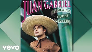 Juan Gabriel  La Herencia Cover Audio [upl. by Oetomit]