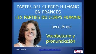 Las partes del cuerpo humano en francés vocabulario y pronunciación [upl. by Aztilem179]