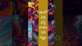 kalalo yedhi vasthey labam yedhi vasthey nashtam lakshmi ganapathi kataksham channel vlogs [upl. by Kramnhoj]