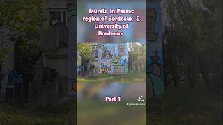 streetart around the area of bordeaux university part 1 [upl. by Iderf]