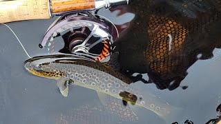 The perfect day Fly Fishing for Wild Brown Trout [upl. by Prue899]