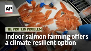 Making salmon farming more sustainable by putting it indoors  The Protein Problem [upl. by Yakcm]