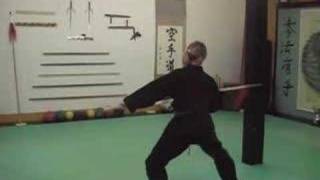 Kenpo Weapon Set 4 Point Spear [upl. by Jacinto426]