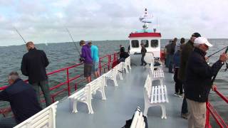 Sportvissen op de Waddenzee [upl. by Modie553]