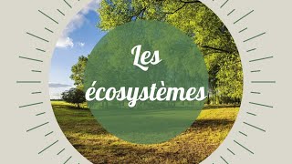 Ecosystèmes interactions au sein dun écosystème [upl. by Kuhlman]