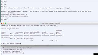 NetApp ONTAP DataProtection with SnapMirror 2 [upl. by Anaitsirk890]