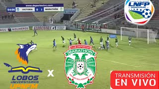 Lobos Upnfm Vs Marathon en vivo liga nacional Honduras clausura 2024 [upl. by Viviyan]