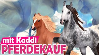 Neue Farben für Isländer und Shire Horse 🐴 PFERDEKAUF 🐴 Star Stable Online [upl. by Schouten169]