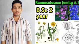 Ranunculaceae family floral formula daigram and Economic importance BSc 2 year [upl. by Tengler660]