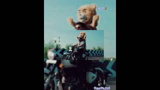 lovely teddy teddy movietamil song whatsapp status download 🧸🧸🧸 [upl. by Krisha489]