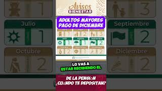 Día de Pago para Pensionados del IMSS en Diciembre adultos mayores [upl. by Enia946]