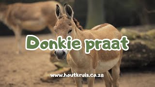 Donkie praat  Kruis Kinders [upl. by Tansey908]