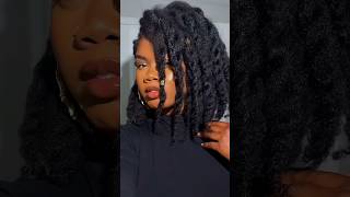 Natural Hair Two Strand Twists Without Extensions [upl. by Yhtomiht]