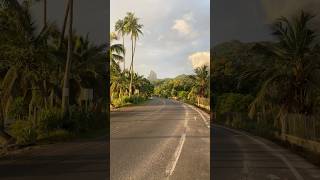 Moorea is the most beautiful island on earth shorts tahiti moorea [upl. by Allebara]