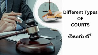 Exploring Different Types of Courts in Cyber Criminology  Part 3 [upl. by Tasia507]