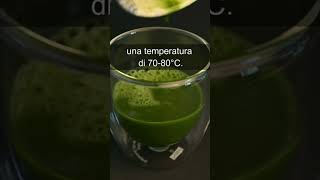 Quanta acqua dovresti usare nel tuo matcha [upl. by Ojoj]