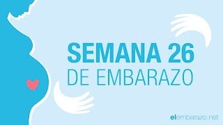 Semana 26 de embarazo  26 semanas de embarazo  El embarazo semana a semana [upl. by Sukramal]