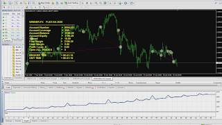 FLEX EA 2020  Best EA Forex robot 2020  automated forex trading [upl. by Busey]