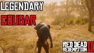 Location and Hunting of Legendary Cougar in Red Dead Redemption 2 [upl. by Simson223]