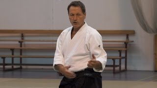 Aikido Christian Tissier  Belgium 2013 [upl. by Andrej]