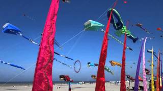 Cerfs volants 2014 Berck sur Mer [upl. by Areic]