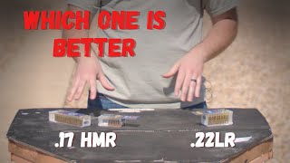 17 HMR vs 22LR Calibers An InDepth Comparison for Precision Shooters Hunting Mark [upl. by Lemart]