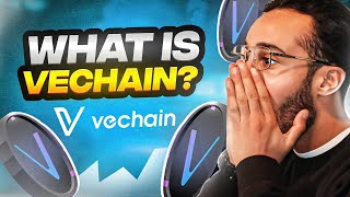 What is VeChain VET amp VTHO 10x Incoming [upl. by Walker]