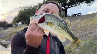 Folsom Lake fishing for spotted Bass [upl. by Bale9]