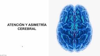 Especialización hemisférica cerebral neuropsicología [upl. by Durand448]