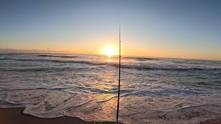 2024 October NJ Surf Fishing Snappers in the Wash [upl. by Anoyet568]