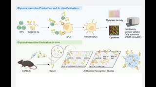 PLGAPEGMal and PLGAFKR648 from PolySciTech used in development of Mucin16 targeted nanoparticles [upl. by Guglielmo587]