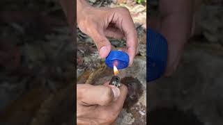 Survival skills simplifying survival when a Bottle became useful🍾 camping survival bushcraft [upl. by Airitak]