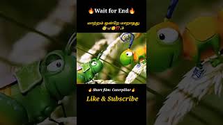 A Caterpillar selling shoes 👟Movie explained in tamil\dubbed MoviesTamil voice over mysterydiv [upl. by Duster]