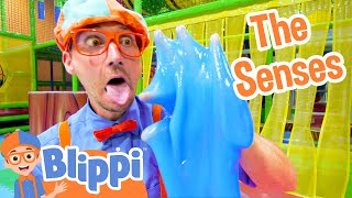 Blippi Learns the 5 Senses at a Play Place  Blippi Full Episodes  Educational Videos  Blippi Toys [upl. by Kcerb]