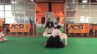 MATSUOKA SENSEI AIKIDO  ITALIA 2014  ASAHI  ACSI [upl. by Ailbert493]