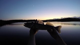 Walleye Pike amp Bass  Fishing Temagami back lakes in 2019 [upl. by Sualkcin553]