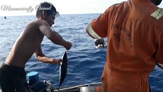 Traditional fishing in Malacca Strait part1 [upl. by Ailemac]