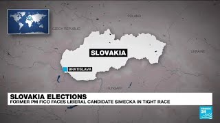 Slovaks choose between proRussian exPM Fico and proWestern liberals • FRANCE 24 English [upl. by Archer]