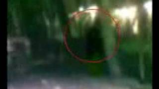 Miracle of Yogis  Flying Siddha at Thiruvannamalai wwwKeepTubecom3gp [upl. by Kaslik]